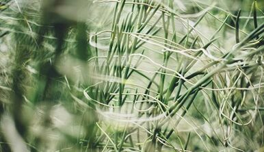 Comment fabriquer un porte-bonheur de vos propres mains.